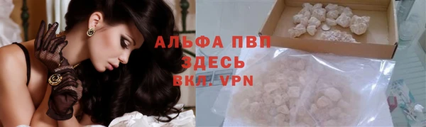 индика Абинск