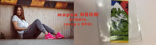индика Абинск