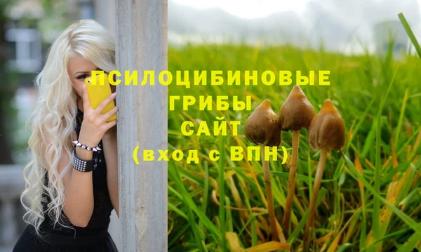 эйфоретик Абдулино