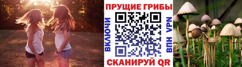 Псилоцибиновые грибы Cubensis  Звенигород 